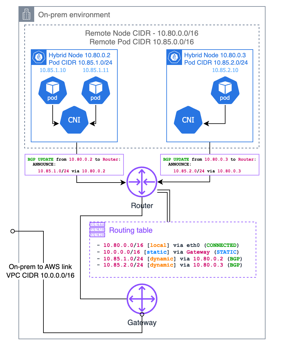 Hybrid nodes BGP routing